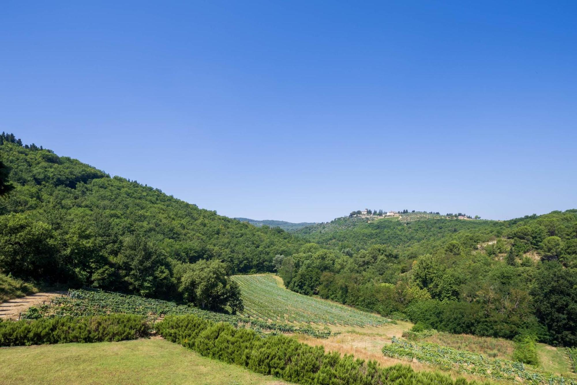 Foresteria Castello Di Verrazzano Greve in Chianti Bagian luar foto